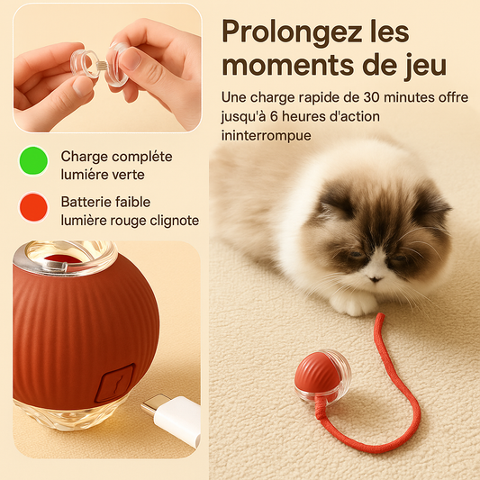 Balle Automatique pour chat