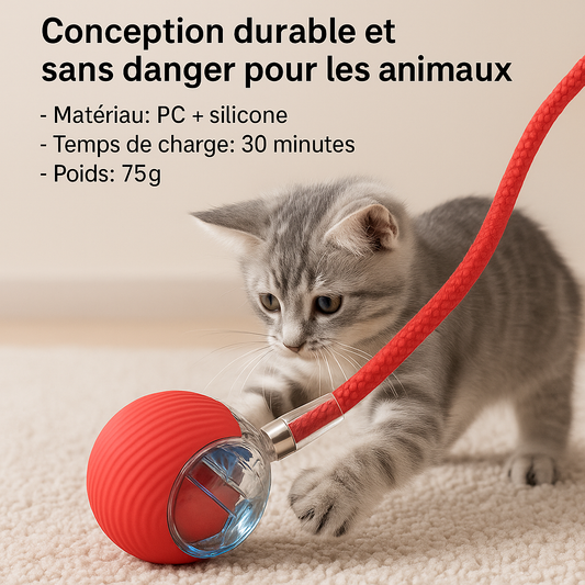 Balle Automatique pour chat